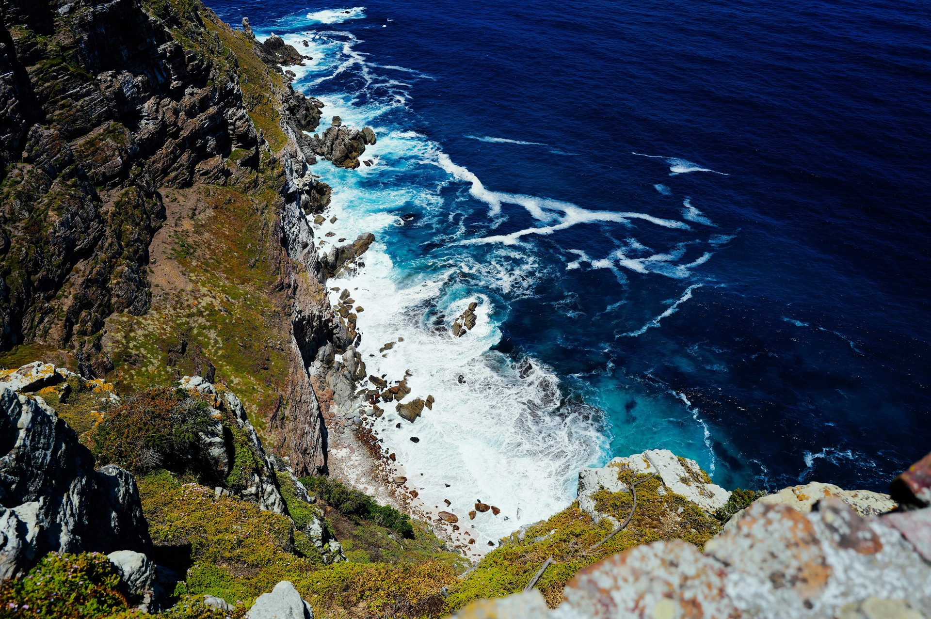 Cape of Good Hope & Penguins Day Tour with Pickup