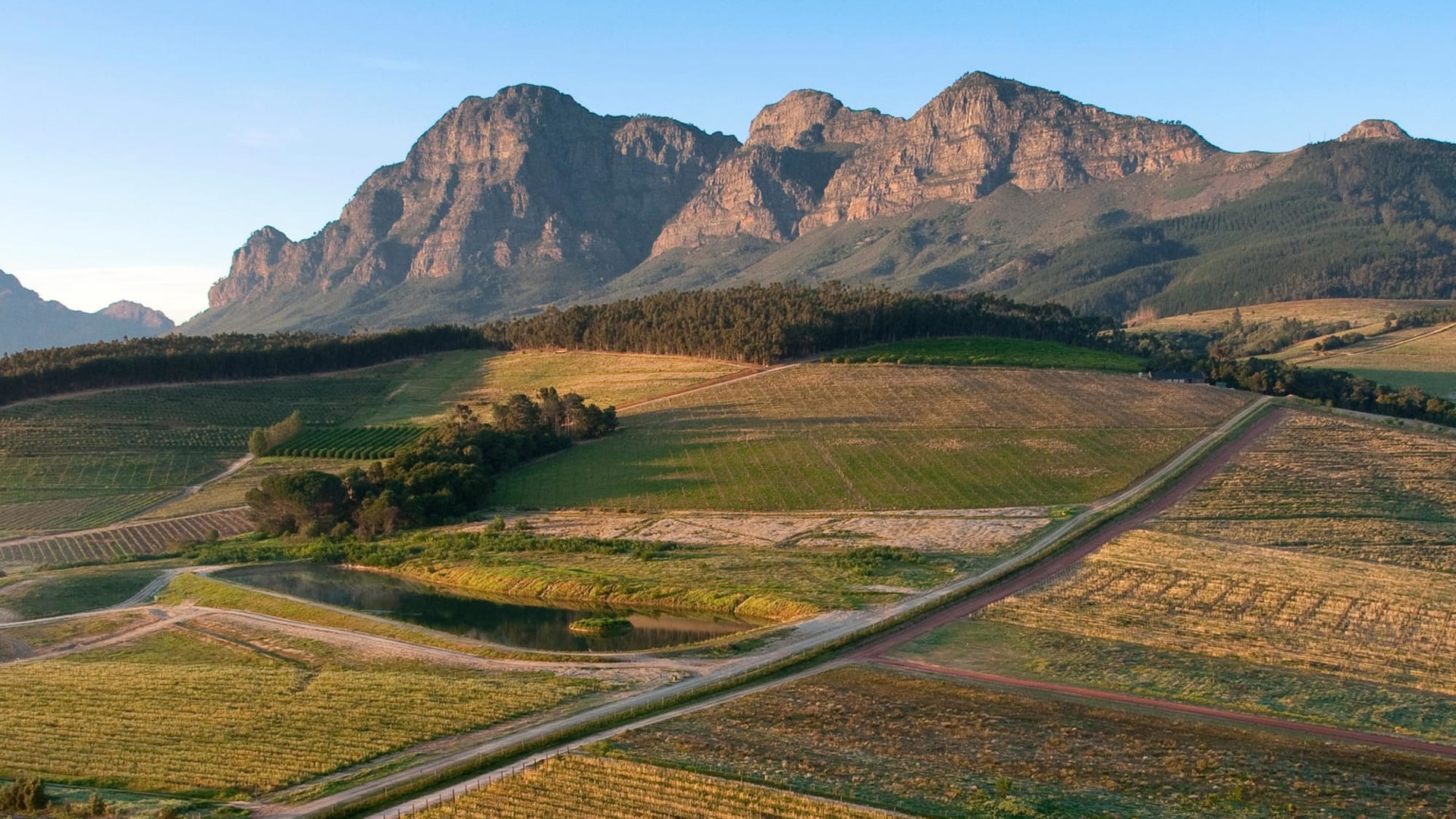 Cape Winelands Luxury Wine Tour β Tastings, Lunch & Cheese Pairing